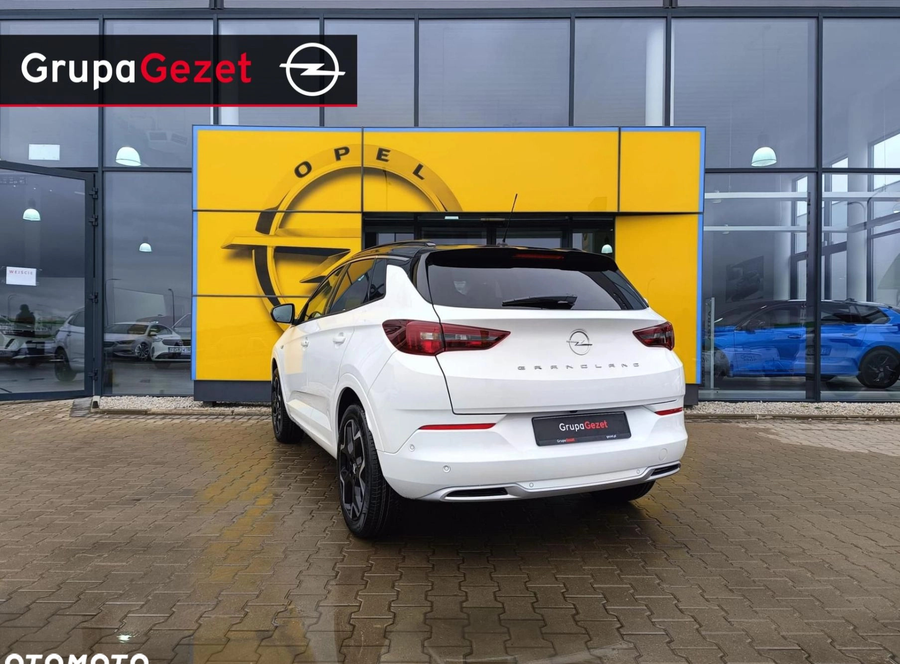 Opel Grandland cena 135990 przebieg: 5, rok produkcji 2024 z Ożarów małe 121